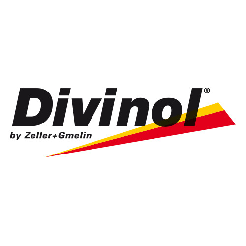 ������ �������� ����� Divinol Syntholight 03 5W-30 ������������� | ������� 49250-C069