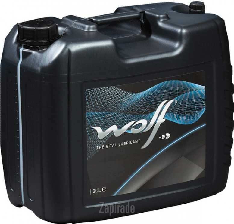 ������ �������� ����� Wolf VITALTECH ������������� | ������� 8312656